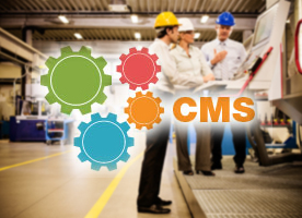 CMS ERP Application Support and Managed Services